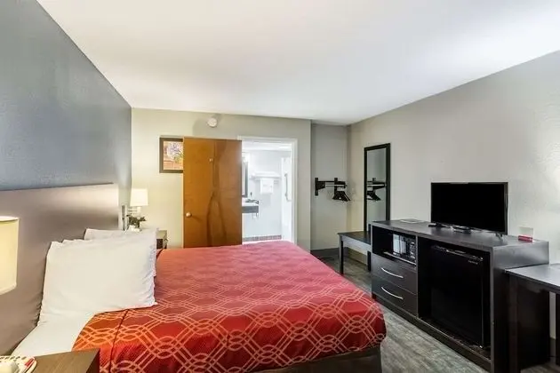 Oda, 1 En Büyük (King) Boy Yatak, Engellilere Uygun, Sigara İçilebilir