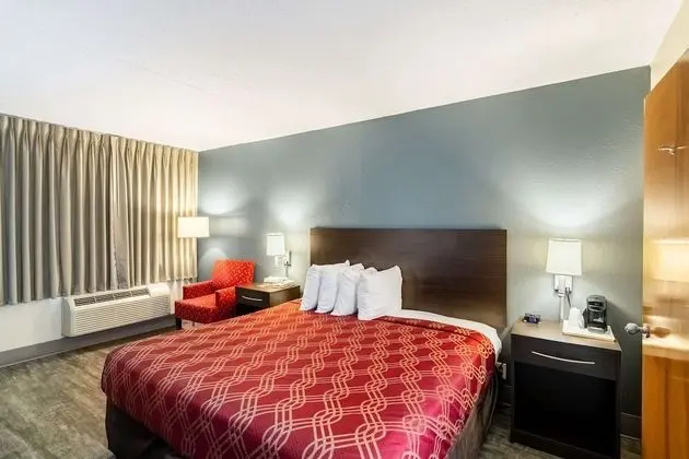 Oda, 1 En Büyük (King) Boy Yatak, Engellilere Uygun, Sigara İçilebilir