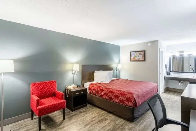 Oda, 1 En Büyük (King) Boy Yatak, Engellilere Uygun, Sigara İçilebilir