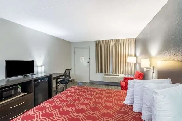 Oda, 1 En Büyük (King) Boy Yatak, Engellilere Uygun, Sigara İçilebilir