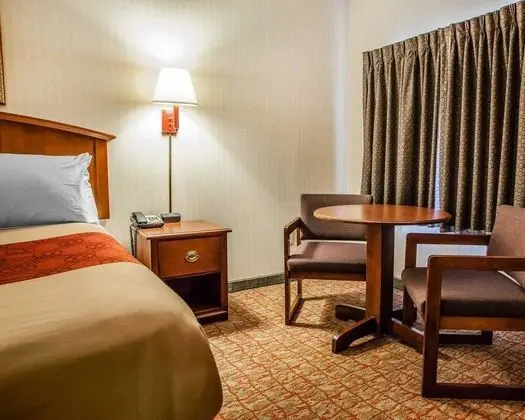 Standard Tek Büyük Yataklı Oda, 2 Çift Kişilik Yatak, Sigara İçilebilir
