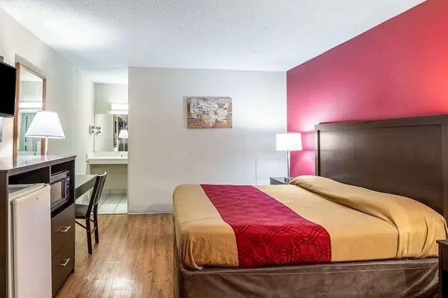 Standard Oda, 1 En Büyük (King) Boy Yatak, Sigara İçilebilir