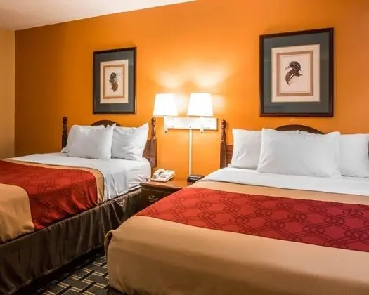 Standard Tek Büyük Yataklı Oda, 2 Çift Kişilik Yatak, Sigara İçilebilir