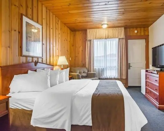 Standard Oda, 1 Büyük (Queen) Boy Yatak, Sigara İçilmez