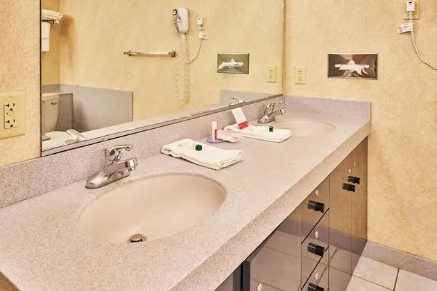 Süit, 1 En Büyük (King) Boy Yatak, Sigara İçilmez, Sıcak Su Küveti