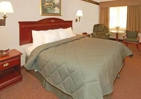 Standard Oda, 1 En Büyük (King) Boy Yatak, Sigara İçilmez