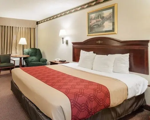 Standard Oda, 1 En Büyük (King) Boy Yatak, Sigara İçilmez