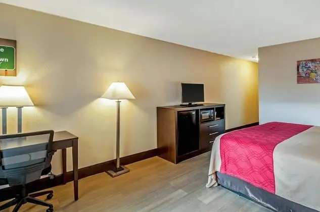 Standard Oda, 1 En Büyük (King) Boy Yatak, Sigara İçilmez