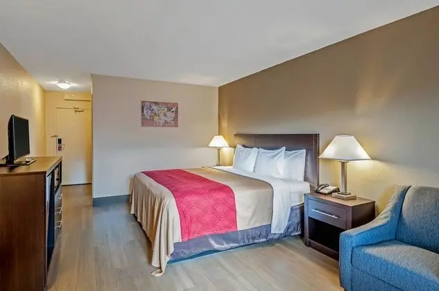 Standard Oda, 1 En Büyük (King) Boy Yatak, Sigara İçilmez