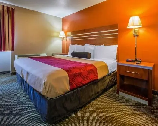 Standard Oda, 1 En Büyük (King) Boy Yatak, Sigara İçilebilir