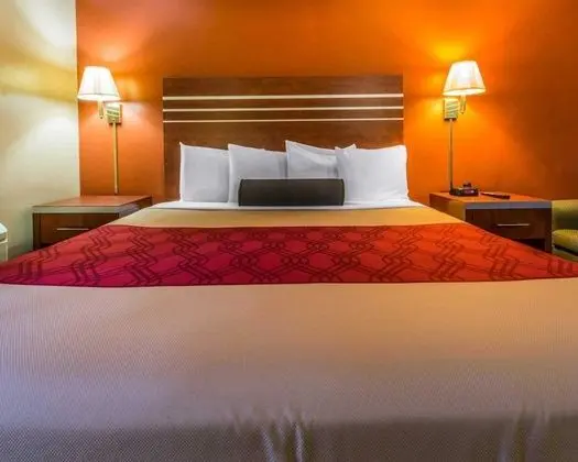 Standard Oda, 1 En Büyük (King) Boy Yatak, Sigara İçilmez