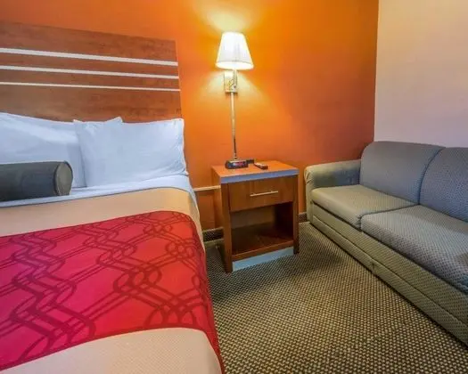 Standard Oda, 1 En Büyük (King) Boy Yatak, Sigara İçilmez