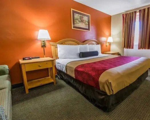 Standard Tek Büyük Yataklı Oda, 2 Çift Kişilik Yatak, Sigara İçilebilir