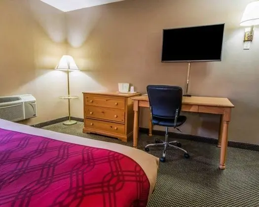 Standard Tek Büyük Yataklı Oda, 2 Çift Kişilik Yatak, Sigara İçilebilir