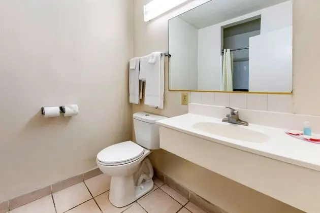 Oda, 1 En Büyük (King) Boy Yatak, Sigara İçilebilir