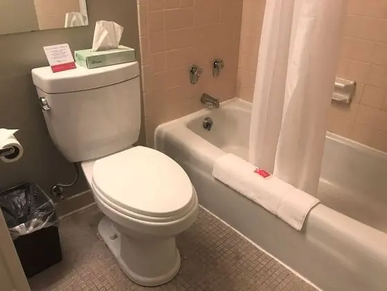 Süit, 1 En Büyük (King) Boy Yatak, Sigara İçilmez