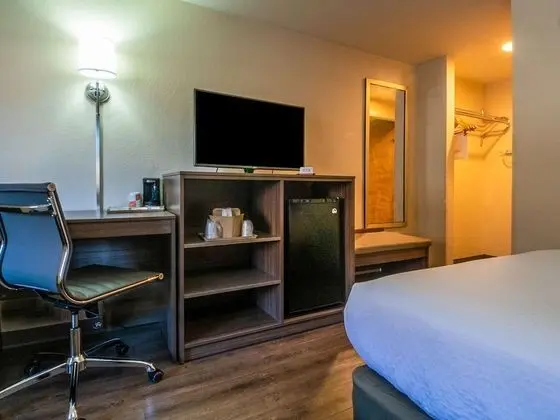 Standard Oda, 2 Çift Kişilik Yatak (No Pets, Upper Floor, No Elevator)