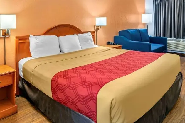 Standard Oda, 1 En Büyük (King) Boy Yatak, Sigara İçilmez