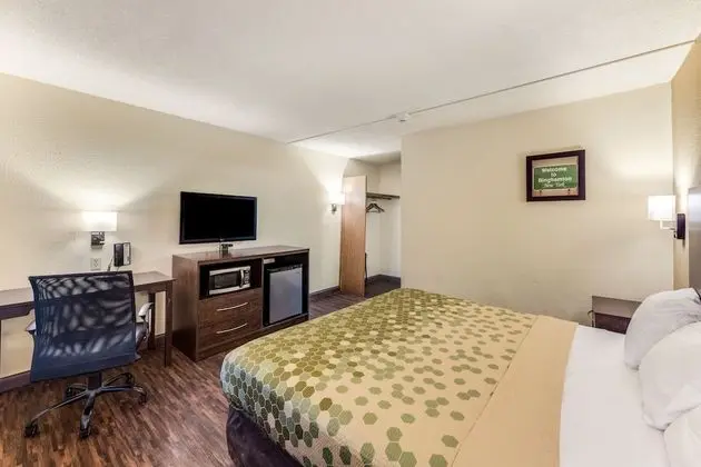 Standard Oda, 1 En Büyük (King) Boy Yatak, Sigara İçilmez