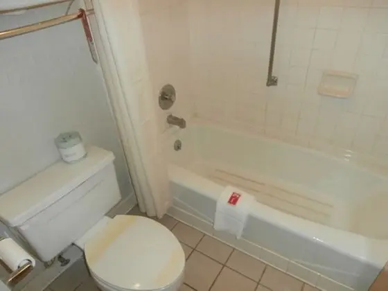 Süit, 1 En Büyük (King) Boy Yatak ve Çekyat, Sigara İçilebilir (2 Person Sofa Bed)