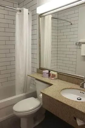 Standard Tek Büyük Yataklı Oda, 2 Çift Kişilik Yatak, Sigara İçilmez