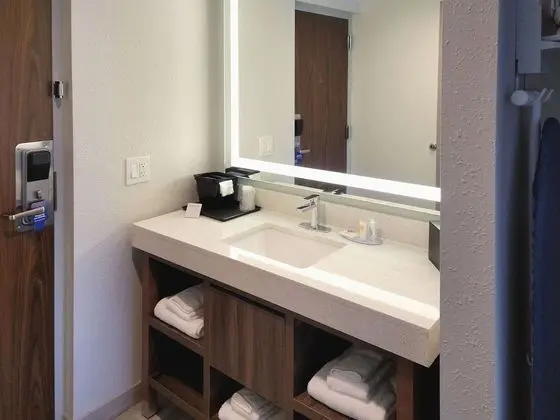 Oda, 1 Büyük (Queen) Boy Yatak ve Çekyat, Engellilere Uygun (Mobility Accessible with Tub)