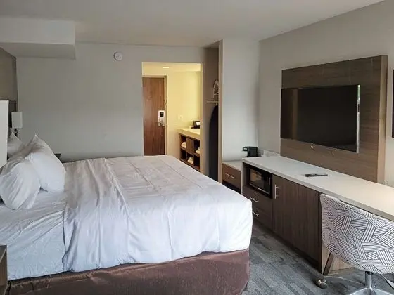 Oda, 1 Büyük (Queen) Boy Yatak ve Çekyat, Engellilere Uygun (Mobility Accessible with Tub)