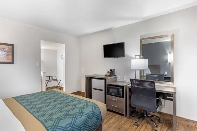 Standard Oda, 1 Büyük (Queen) Boy Yatak, Sigara İçilmez