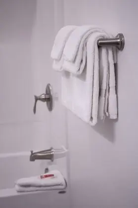 Efficiency, Deluxe Oda, 2 Çift Kişilik Yatak, Sigara İçilmez