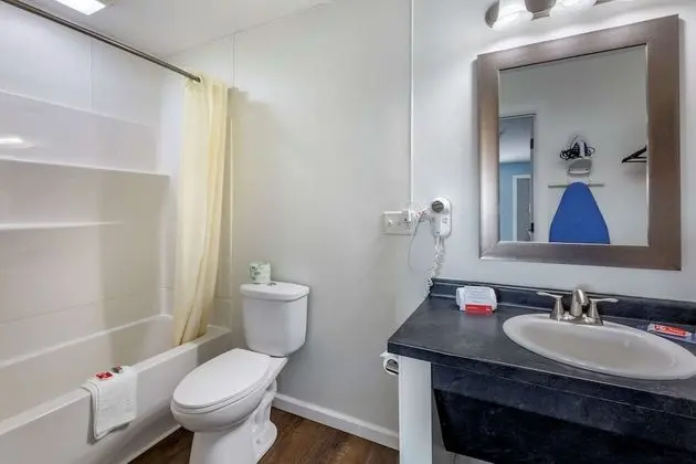 Efficiency, Deluxe Oda, 2 Çift Kişilik Yatak, Sigara İçilmez
