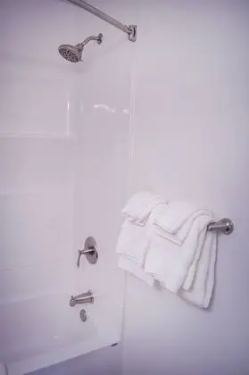 Süit, 1 Yatak Odası (2 Double Beds and 2 Person Sofabed)