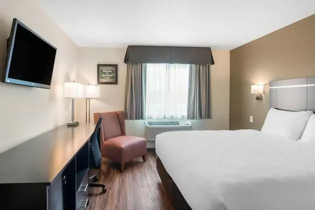 Standard Oda, 1 En Büyük (King) Boy Yatak, Sigara İçilmez