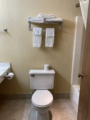 Standard Oda, 2 Çift Kişilik Yatak, Sigara İçilmez (Pet Friendly)