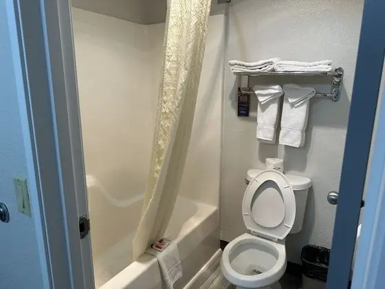 Oda, 1 En Büyük (King) Boy Yatak, Sigara İçilebilir (Pet Friendly)