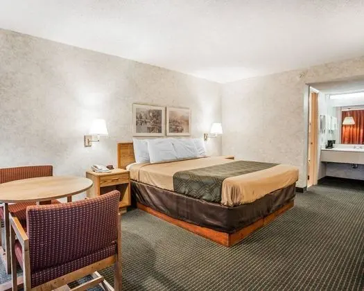 Standard Oda, 1 En Büyük (King) Boy Yatak, Sigara İçilmez