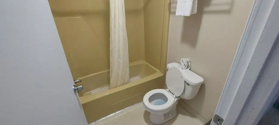 Standard Tek Büyük Yataklı Oda, 2 Çift Kişilik Yatak, Sigara İçilmez