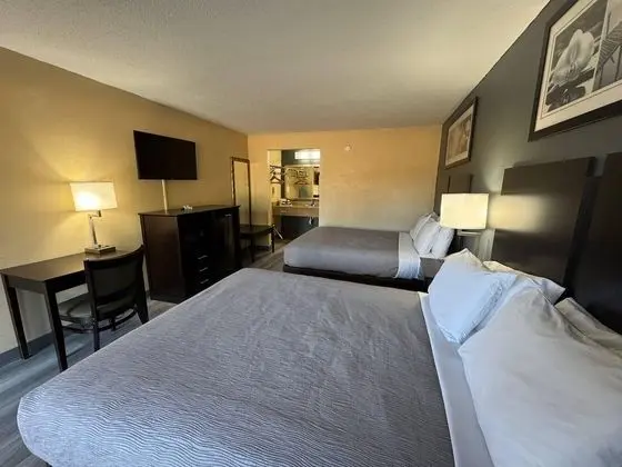 Oda