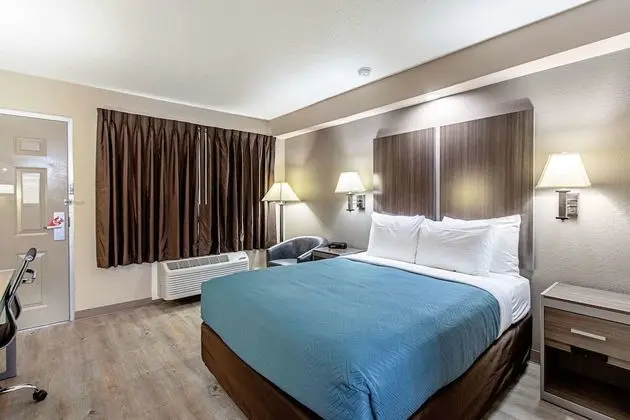 Oda, 1 Büyük (Queen) Boy Yatak (Pet Friendly)
