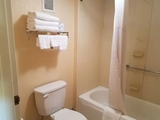 Standard Oda, 1 En Büyük (King) Boy Yatak, Sigara İçilmez