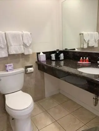Standard Oda, 2 Büyük (Queen) Boy Yatak, Sigara İçilmez