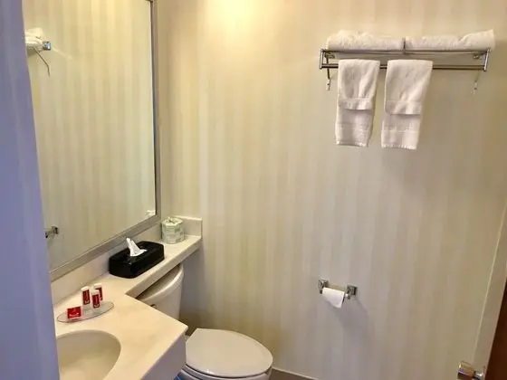 Standard Oda, 1 En Büyük (King) Boy Yatak, Sigara İçilmez