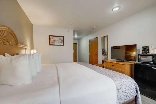 Oda, 1 En Büyük (King) Boy Yatak, Sigara İçilmez (Pet Friendly)
