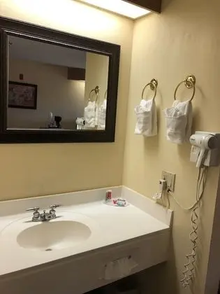 Standard Tek Büyük Yataklı Oda, Sigara İçilmez