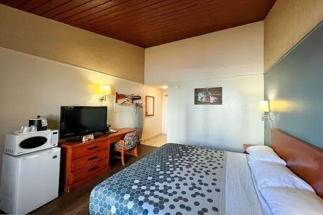 Standard Oda, 1 En Büyük (King) Boy Yatak, Sigara İçilmez, Balkon