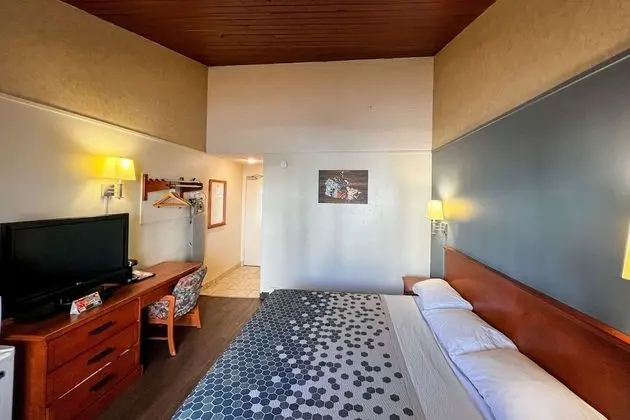 Standard Oda, 1 En Büyük (King) Boy Yatak, Sigara İçilmez, Balkon