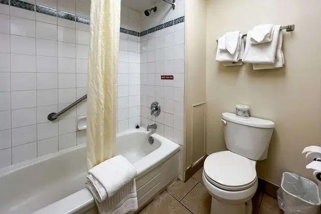 Standard Tek Büyük Yataklı Oda, 2 Çift Kişilik Yatak, Sigara İçilmez