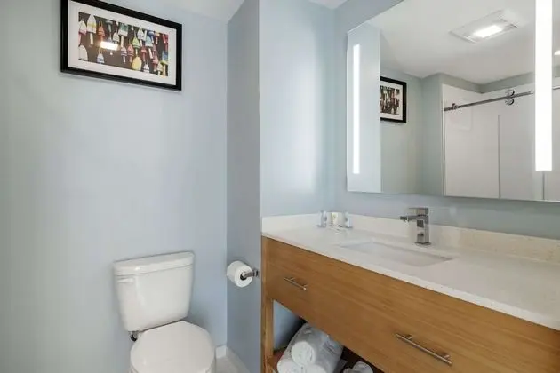Oda, 1 En Büyük (King) Boy Yatak, Engellilere Uygun, Sigara İçilmez (Roll-In Shower)