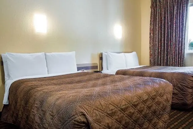 Standard Tek Büyük Yataklı Oda, 2 Çift Kişilik Yatak, Sigara İçilebilir