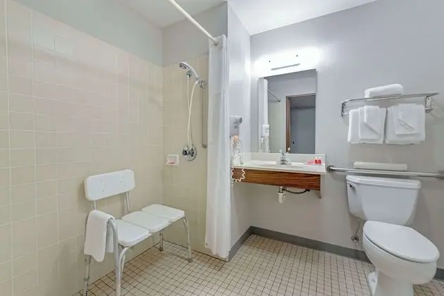 Oda, 1 Büyük (Queen) Boy Yatak, Engellilere Uygun, Sigara İçilmez (Roll In Shower)