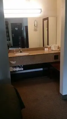Oda, 1 Büyük (Queen) Boy Yatak, Engellilere Uygun, Sigara İçilmez (Roll-In Shower)